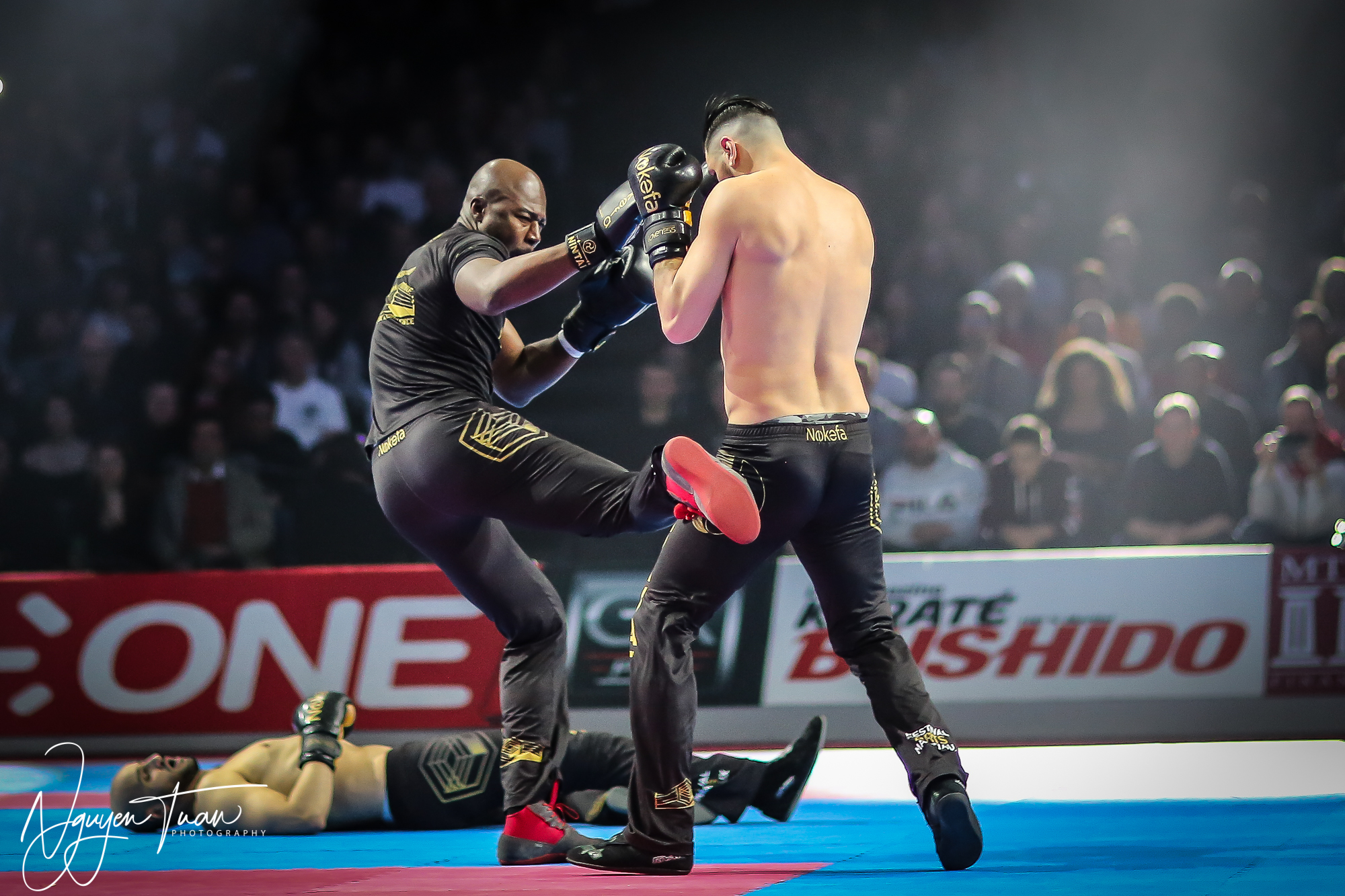 20190324 Festival des Arts Martiaux 2240